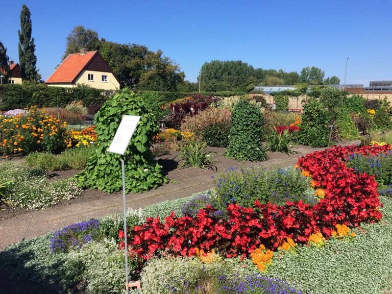 Rundvandring dag 2 bland det underbara anuellerna